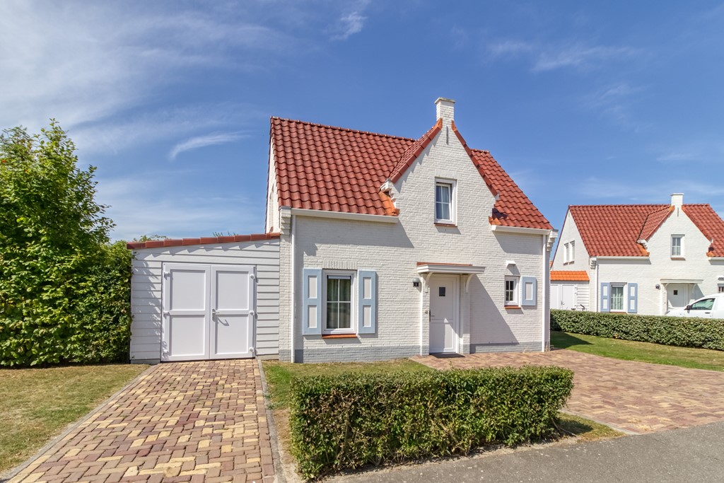 Duinroos 1 Cadzand-2.jpg